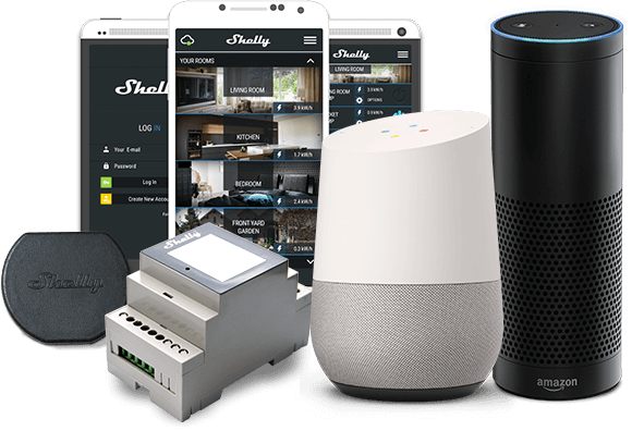 shelly-amazon-google shelly-amazon-google